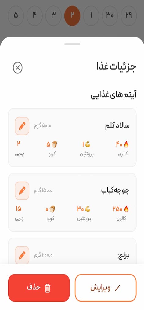 محیط کاربری اپلیکیشن کالری شمار پرتقال در حال تشخیص غذای ایرانی-2